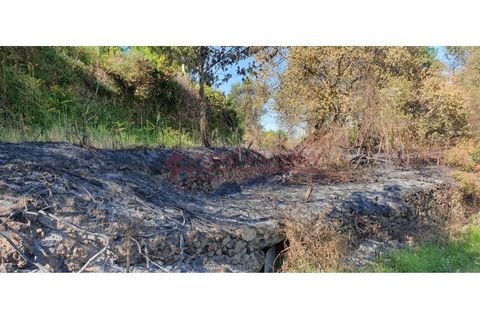 Helårsgrund i Valenca, Viana do Castelo, Valenca - € 6.000 | Ref: SÒL_381 - foto 10