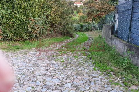 Helårsgrund i Valenca, Viana do Castelo, Valenca - € 6.000 | Ref: SÒL_381 - foto 11
