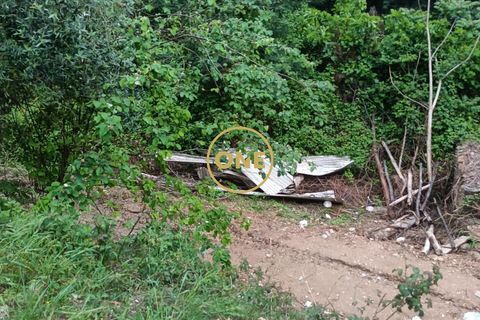 Helårsgrund i Coimbra, Coimbra, Coimbra - € 32.000 | Ref: ONE172013-1 - foto 2