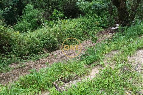 Helårsgrund i Coimbra, Coimbra, Coimbra - € 32.000 | Ref: ONE172013-1 - foto 4