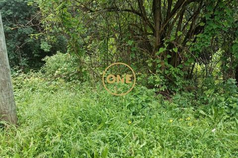 Helårsgrund i Coimbra, Coimbra, Coimbra - € 32.000 | Ref: ONE172013-1 - foto 7
