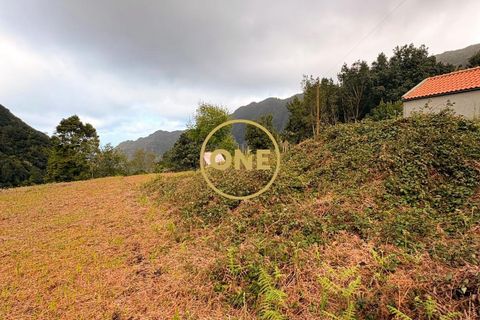Helårsgrund i Sao Vincente, Madeira, Sao Vincente - € 75.000 | Ref: ONE361630-14 - foto 6