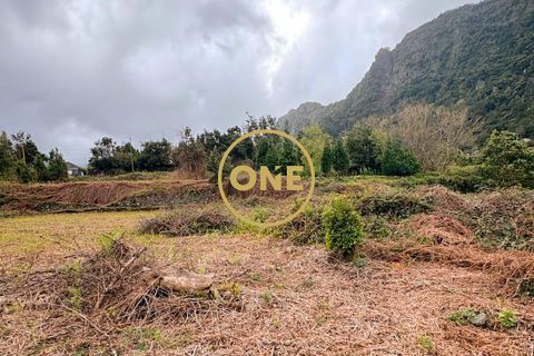 Helårsgrund i Sao Vincente, Madeira, Sao Vincente - € 75.000 | Ref: ONE361630-14 - foto 10