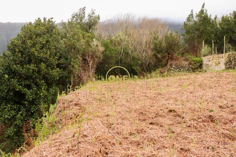 Helårsgrund i Sao Vincente, Madeira, Sao Vincente - € 75.000 | Ref: ONE361630-14 - foto 18
