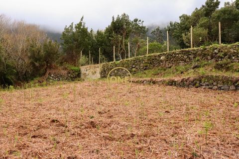 Helårsgrund i Sao Vincente, Madeira, Sao Vincente - € 75.000 | Ref: ONE361630-14 - foto 19
