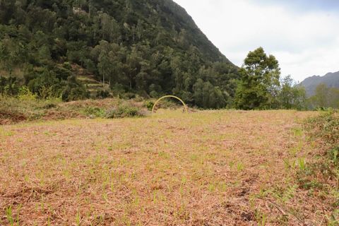 Helårsgrund i Sao Vincente, Madeira, Sao Vincente - € 75.000 | Ref: ONE361630-14 - foto 25
