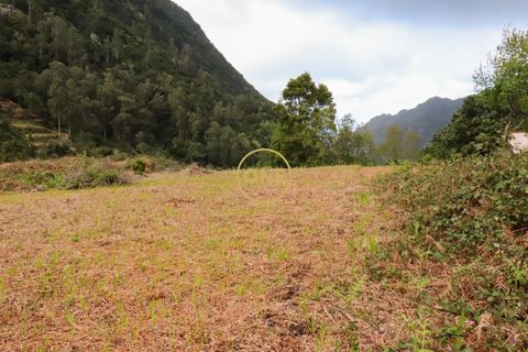 Helårsgrund i Sao Vincente, Madeira, Sao Vincente - € 75.000 | Ref: ONE361630-14 - foto 26