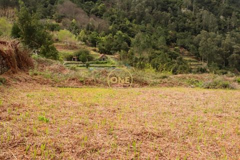 Helårsgrund i Sao Vincente, Madeira, Sao Vincente - € 75.000 | Ref: ONE361630-14 - foto 27