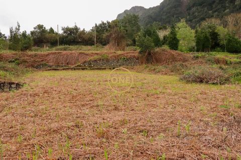 Helårsgrund i Sao Vincente, Madeira, Sao Vincente - € 75.000 | Ref: ONE361630-14 - foto 30