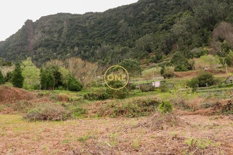 Helårsgrund i Sao Vincente, Madeira, Sao Vincente - € 75.000 | Ref: ONE361630-14 - foto 31