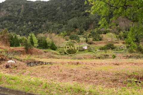 Helårsgrund i Sao Vincente, Madeira, Sao Vincente - € 75.000 | Ref: ONE361630-14 - foto 33