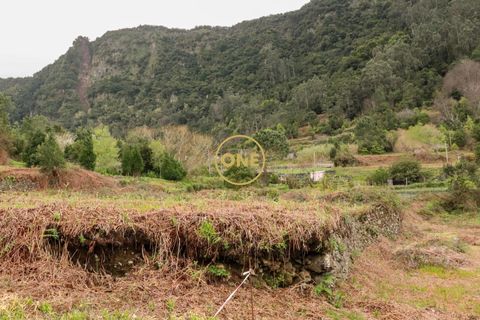 Helårsgrund i Sao Vincente, Madeira, Sao Vincente - € 75.000 | Ref: ONE361630-14 - foto 36
