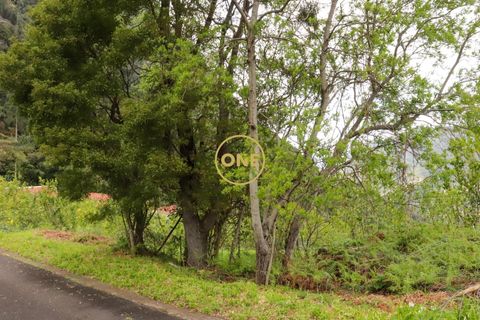 Helårsgrund i Sao Vincente, Madeira, Sao Vincente - € 75.000 | Ref: ONE361630-14 - foto 37