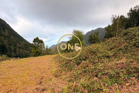 Helårsgrund i Sao Vincente, Madeira, Sao Vincente - € 115.000 | Ref: ONE361630-13 - foto 2