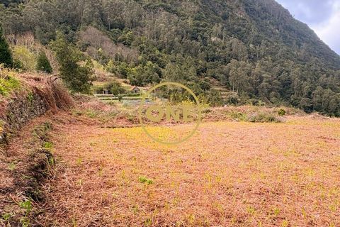 Helårsgrund i Sao Vincente, Madeira, Sao Vincente - € 115.000 | Ref: ONE361630-13 - foto 4