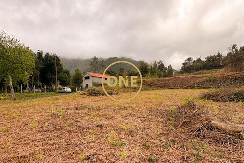 Helårsgrund i Sao Vincente, Madeira, Sao Vincente - € 115.000 | Ref: ONE361630-13 - foto 8