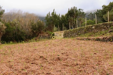 Helårsgrund i Sao Vincente, Madeira, Sao Vincente - € 115.000 | Ref: ONE361630-13 - foto 16
