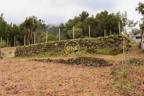 Helårsgrund i Sao Vincente, Madeira, Sao Vincente - € 115.000 | Ref: ONE361630-13 - foto 19