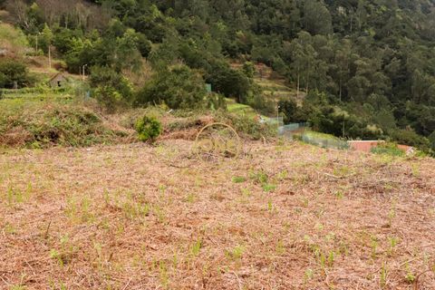 Helårsgrund i Sao Vincente, Madeira, Sao Vincente - € 115.000 | Ref: ONE361630-13 - foto 24