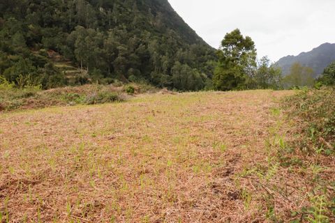 Helårsgrund i Sao Vincente, Madeira, Sao Vincente - € 115.000 | Ref: ONE361630-13 - foto 28