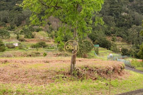 Helårsgrund i Sao Vincente, Madeira, Sao Vincente - € 115.000 | Ref: ONE361630-13 - foto 34
