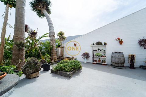 Byhus i Ponta Delgada, Sao Miguel, Ponta Delgada - € 700.000 | Ref: ONE401679-16 - foto 12