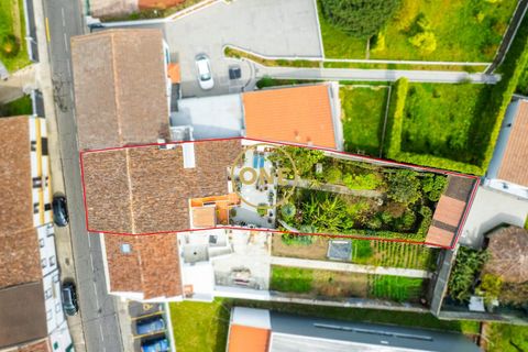 Byhus i Ponta Delgada, Sao Miguel, Ponta Delgada - € 700.000 | Ref: ONE401679-16 - foto 42
