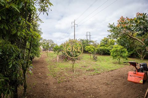 Byhus i Ponta Delgada, Sao Miguel, Ponta Delgada - € 875.000 | Ref: ONE401852-11 - foto 7