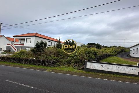 Helårsgrund i Madalena, Pico, Madalena - € 70.000 | Ref: ONE401981-4 - foto 7