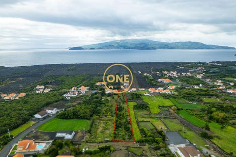Helårsgrund i Madalena, Pico, Madalena - € 70.000 | Ref: ONE401981-4 - foto 2