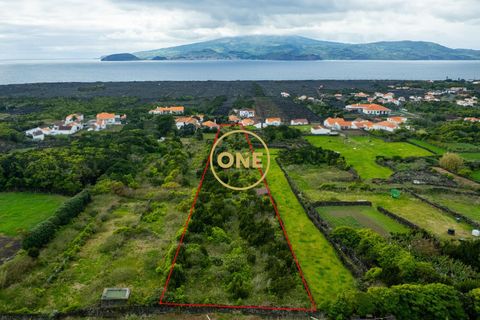 Helårsgrund i Madalena, Pico, Madalena - € 70.000 | Ref: ONE401981-4 - foto 3