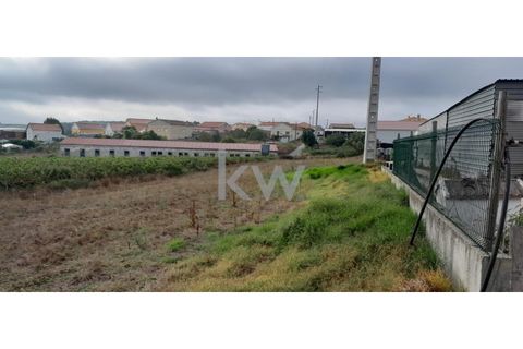 Helårsgrund i A dos Cunhados e Maceira, Lisbon, A dos Cunhados e Maceira - € 49.000 | Ref: KWPT-005044 - foto 2