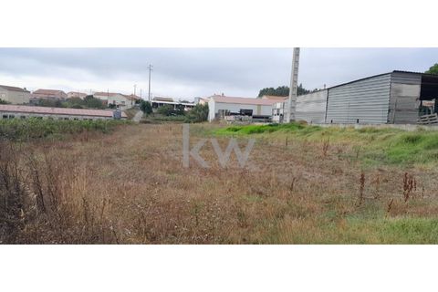 Helårsgrund i A dos Cunhados e Maceira, Lisbon, A dos Cunhados e Maceira - € 49.000 | Ref: KWPT-005044 - foto 3