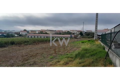 Helårsgrund i A dos Cunhados e Maceira, Lisbon, A dos Cunhados e Maceira - € 49.000 | Ref: KWPT-005044 - foto 4