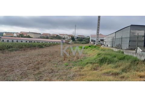 Helårsgrund i A dos Cunhados e Maceira, Lisbon, A dos Cunhados e Maceira - € 49.000 | Ref: KWPT-005044 - foto 6