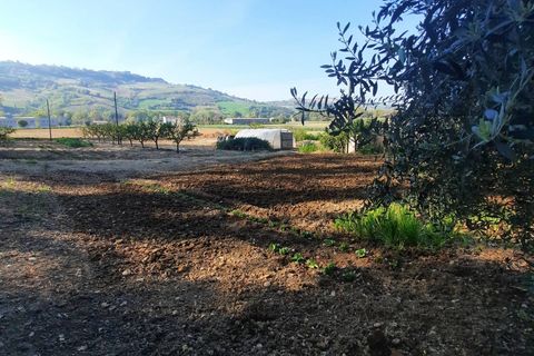 Villa a Moresco, Fermo, Moresco - € 220.000 | Ref: 115253 - foto 8