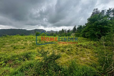 Helårsgrund i Braga, Braga, Braga - € 120.000 | Ref: 33970006 - foto 5