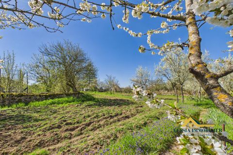 Villa i Jaillon, Meurthe-et-Moselle, Jaillon - € 139.500 | Ref: EVMA10000208 - foto 22