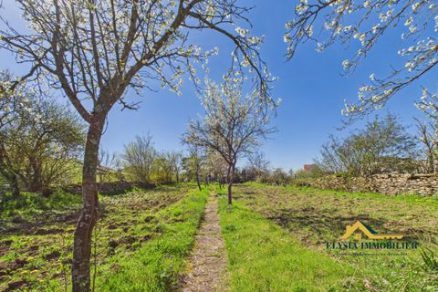 Villa i Jaillon, Meurthe-et-Moselle, Jaillon - € 139.500 | Ref: EVMA10000208 - foto 24