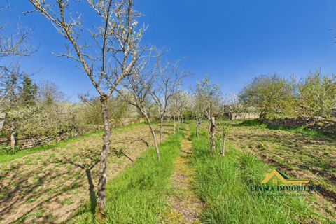 Villa i Jaillon, Meurthe-et-Moselle, Jaillon - € 139.500 | Ref: EVMA10000208 - foto 25