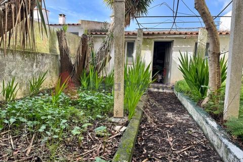 Villa i Alcabideche, Lisbon, Alcabideche - € 610.000 | Ref: 2026-17 - foto 25