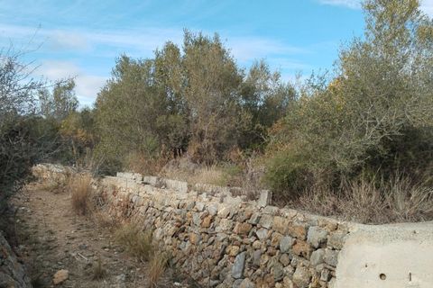 Terra a Murla, Alicante, Murla - € 152.000 | Ref: AG24047 - foto 7