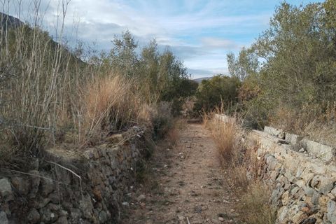 Terra a Murla, Alicante, Murla - € 152.000 | Ref: AG24047 - foto 9