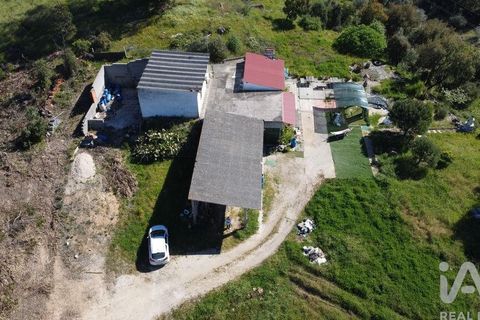 Terra a Santarem, Santarem, Santarem - € 59.900 | Ref: 866287 - foto 2