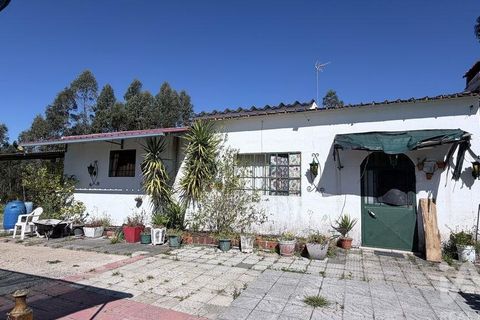 Terra a Santarem, Santarem, Santarem - € 59.900 | Ref: 866287 - foto 6