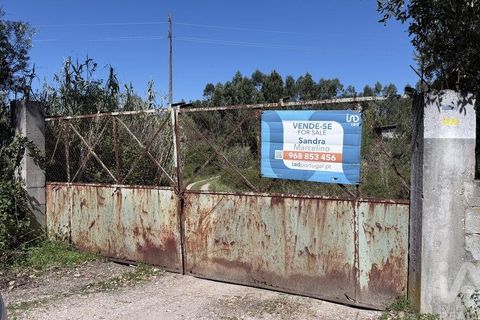 Terra a Santarem, Santarem, Santarem - € 59.900 | Ref: 866287 - foto 9