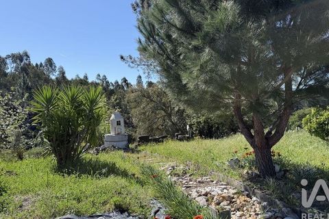 Terra a Santarem, Santarem, Santarem - € 59.900 | Ref: 866287 - foto 12