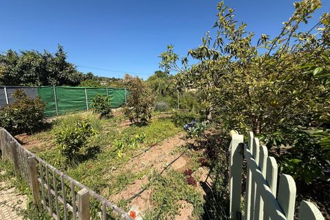 Masia a Polop, Alicante, Polop - € 215.000 | Ref: GHP0349 - foto 23
