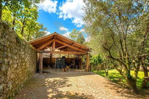 Landejendom i Ponte de Lima, Viana do Castelo, Ponte de Lima - € 245.000 | Ref: V474 - foto 17