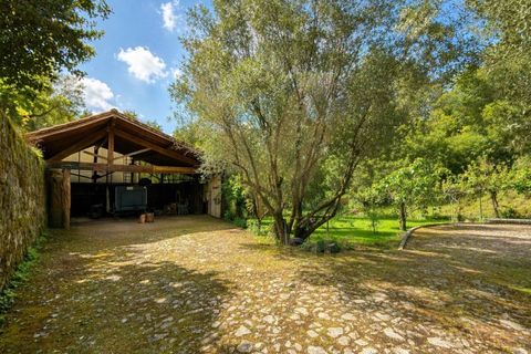 Landejendom i Ponte de Lima, Viana do Castelo, Ponte de Lima - € 245.000 | Ref: V474 - foto 19